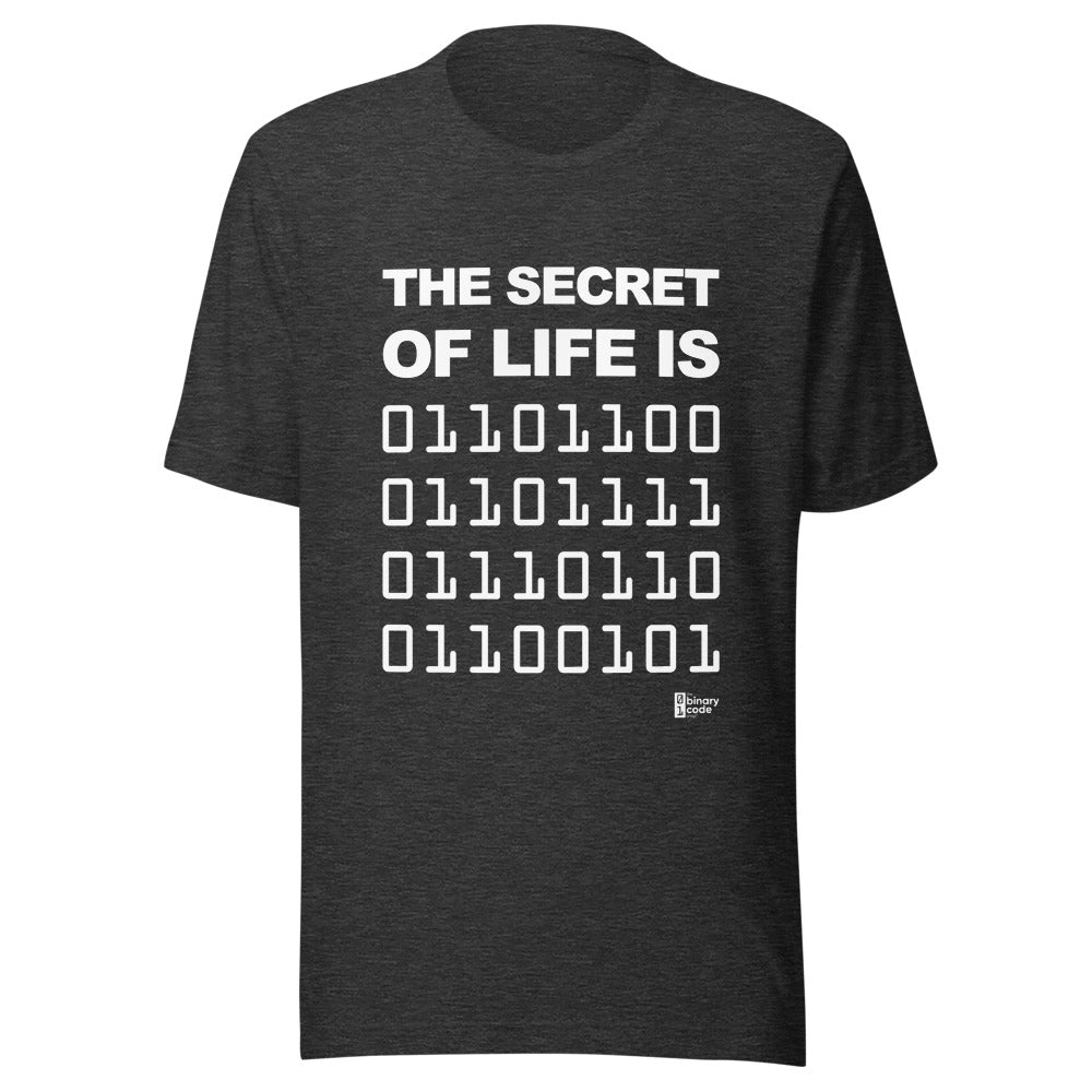 The Secret of Life Is Binary Code T-Shirt